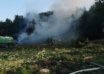 Blaulichtreport Lausitz