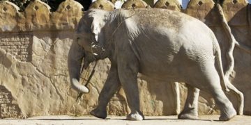 Zoo Leipzig