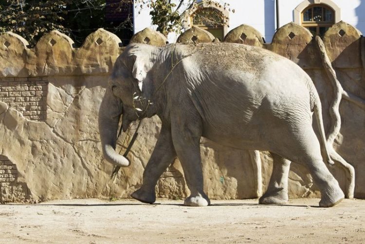 Zoo Leipzig