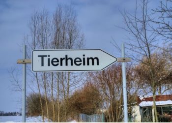 Karl-Heinz Laube_pixelio.de