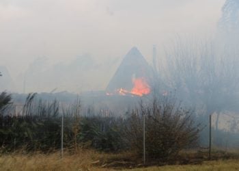 Blaulichtreport Lausitz