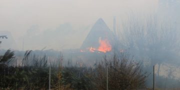 Blaulichtreport Lausitz