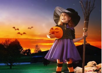 Förderverein Lausitzer Findlingspark Nochten