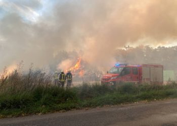 Blaulichtreporter Cottbus