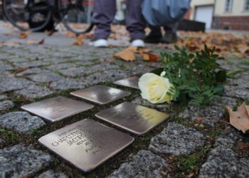 Rosa-Luxemburg-Stiftung Brandenburg 