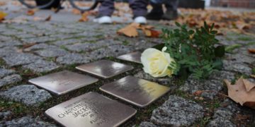 Rosa-Luxemburg-Stiftung Brandenburg 