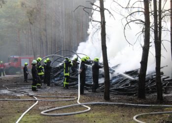 Blaulichtreport Lausitz