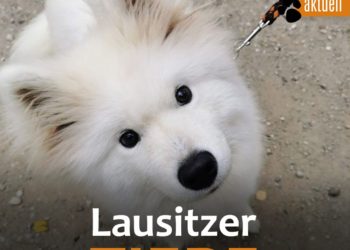 Tierschutzligadorf Neuhausen Spree