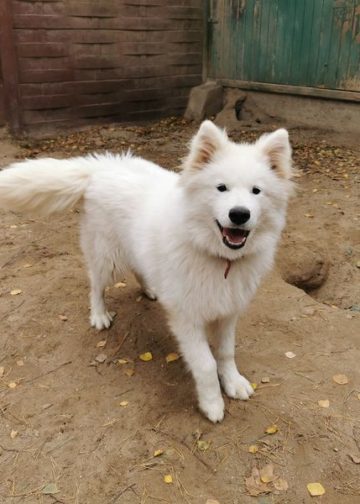 20211125 georgi