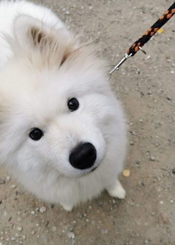 20211125 mischka