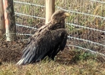 Landkreis Dahme-Spreewald