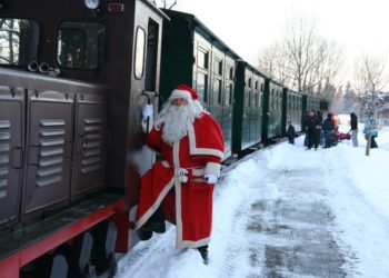 Waldeisenbahn Muskau 