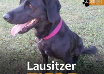 Terra Mater Umwelt- und Tierhilfe