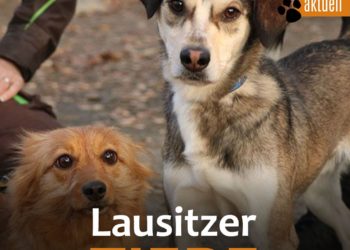 Tierschutzligadorf Neuhausen/Spree