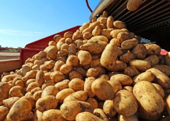 Amt für Statistik Berlin Brandenburg