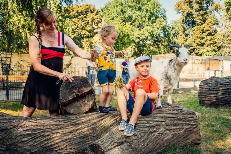 Auf Entdeckungstour im Tierreich - Sommerferienprogramm im Zoo Hoyerswerda ©ZOO Hoyerswerda