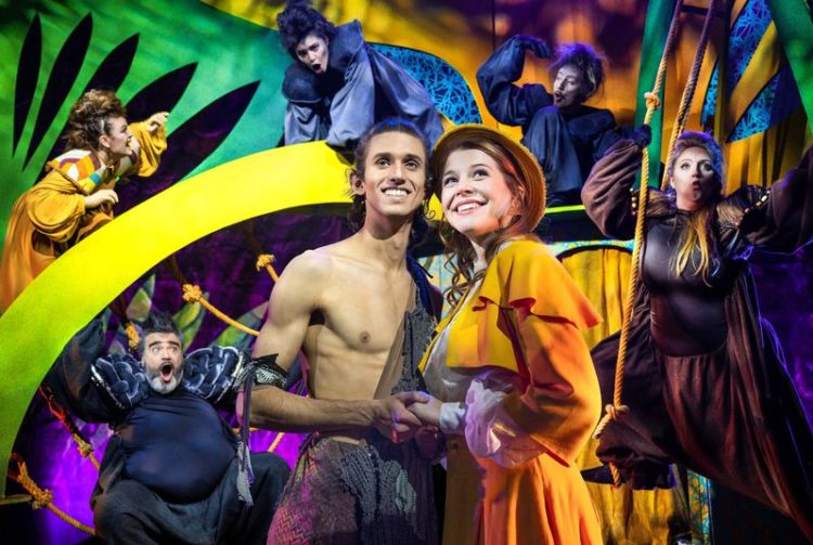 Tarzan - das Musical_Pressebild