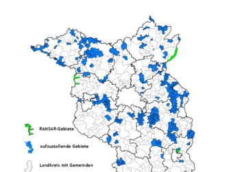 Geflügelpest: Stallpflicht in ausgewiesenen Risikogebieten Brandenburgs