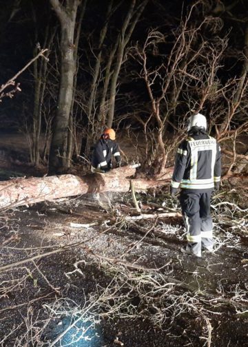Sturmtief Nadia, umgestürzter Baum zwischen Calau und Mlode; FFW Calau