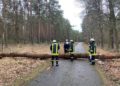 Sturmtief Nadia, umgestürzter Baum in Bagenz