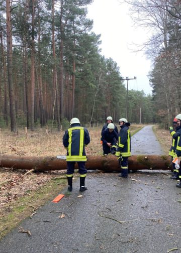 Sturmtief Nadia, umgestürzter Baum in Bagenz