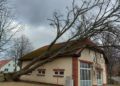 Sturmtief Nadia, umgestürzter Baum auf ehemaliger Wache in Beeskow; FFW Beeskow