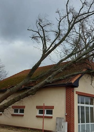 Sturmtief Nadia, umgestürzter Baum auf ehemaliger Wache in Beeskow; FFW Beeskow