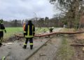 Sturmtief Nadia, umgestürzter Baum zwischen Buckow und Erpwitz; FFW Calau