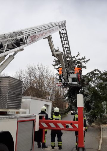 Sturmtief Nadia, umgestürzter Baum in Calau; FFW Calau