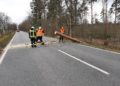 Sturmtief Nadia, umgestürzter Baum zwischen Calau und Settinchen; FFW Calau