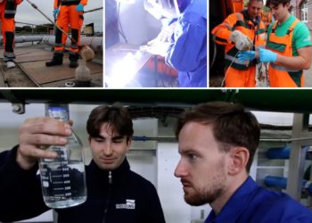 Deine Zukunft in der Lausitz! Ausbildung bei der LWG in Cottbus