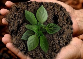 Nachhaltigkeit kann einfach sein