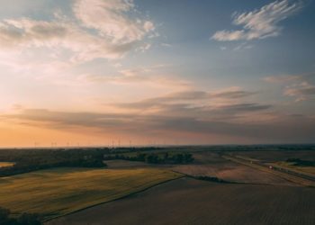 Wichtige Begriffe im Zuge der Nachhaltigkeit und ihre Bedeutung