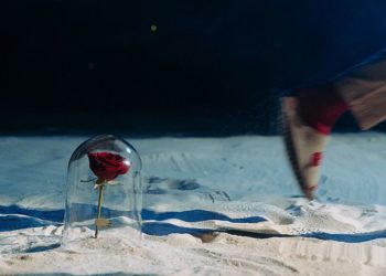 Neue Bühne Senftenberg im Februar „DER KLEINE PRINZ“