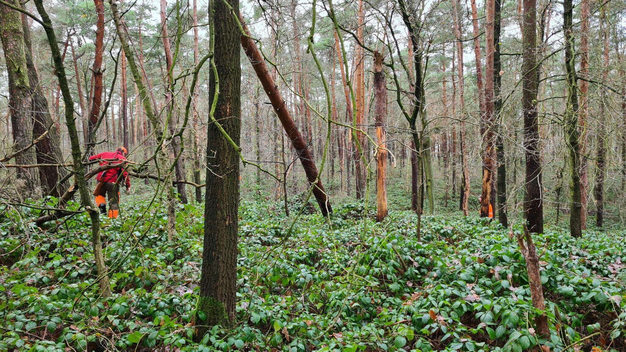 Freiwillige zur Wildsuche in Oberspreewald-Lausitz gesucht; Foto: Landkreis Oberspreewald-Lausitz