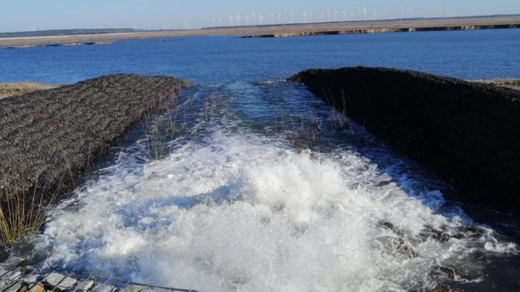 Verbindung steht! Cottbuser Ostsee-Flutung bis zum Schlichower Becken