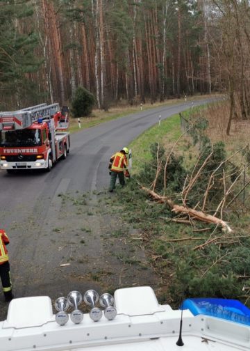 Schäden durch Sturmtief Ylenia in und um Beeskow; FFW Beeskow