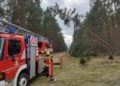 Schäden durch Sturmtief Ylenia in und um Beeskow; FFW Beeskow