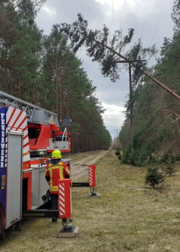 Schäden durch Sturmtief Ylenia in und um Beeskow; FFW Beeskow