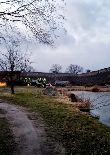 Schäden durch Sturmtief Ylenia in und um Beeskow; FFW Beeskow