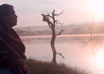 Obenkino Cottbus im Februar: Charlatan