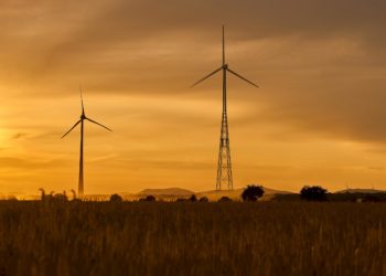 Bis 300 Meter Höhe! In Schipkau entsteht höchster Windturm Deutschlands