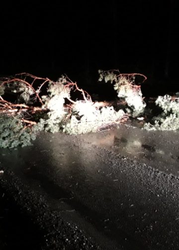 Sturmtief Ylenia über Südbrandenburg; Foto: Blaulichtreport Lausitz