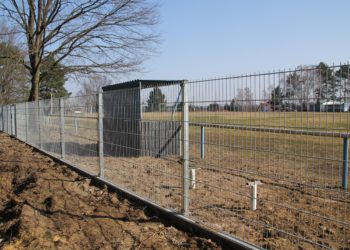 Stadt Senftenberg/Henry Doll