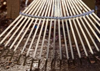 Frühjahrsputz auf dem Burger Friedhof