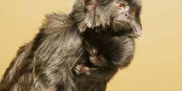 Zoo Hoyerswerda_Stefanie Jürß