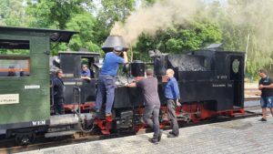 Waldeisenbahn Muskau 