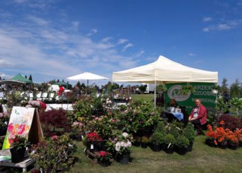 Förderverein Lausitzer Findlingspark Nochten e.V.