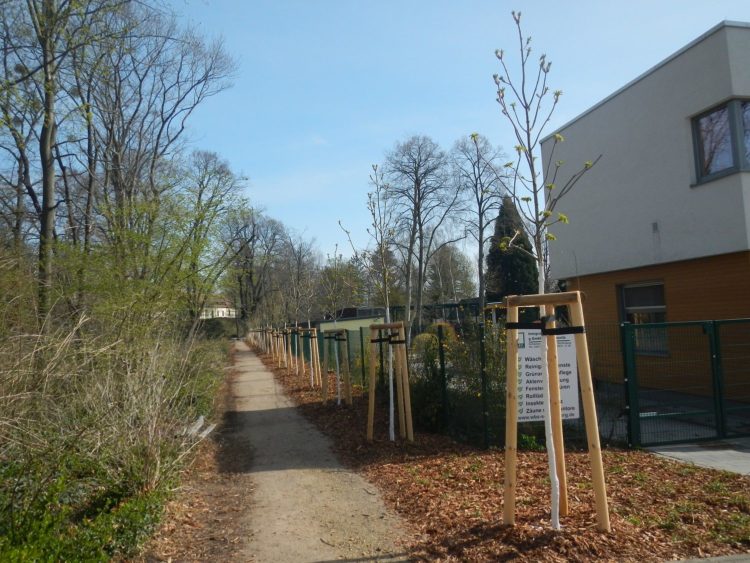 Stadt Senftenberg