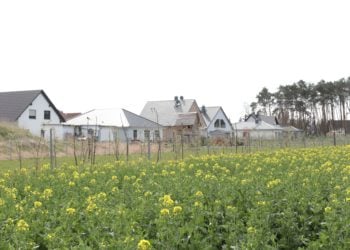 Mathias Klinkmüller